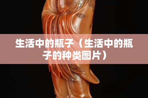 生活中的瓶子（生活中的瓶子的种类图片）