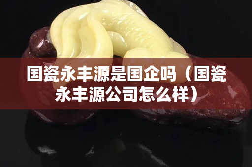国瓷永丰源是国企吗（国瓷永丰源公司怎么样）