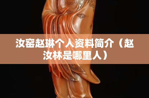 汝窑赵琳个人资料简介（赵汝林是哪里人）