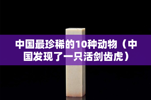 中国最珍稀的10种动物（中国发现了一只活剑齿虎）