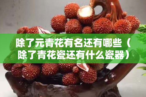 除了元青花有名还有哪些（除了青花瓷还有什么瓷器）