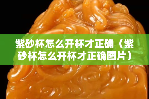 紫砂杯怎么开杯才正确（紫砂杯怎么开杯才正确图片）