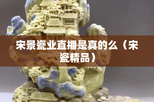 宋景瓷业直播是真的么（宋瓷精品）