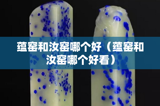 蕴窑和汝窑哪个好（蕴窑和汝窑哪个好看）