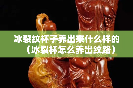 冰裂纹杯子养出来什么样的（冰裂杯怎么养出纹路）