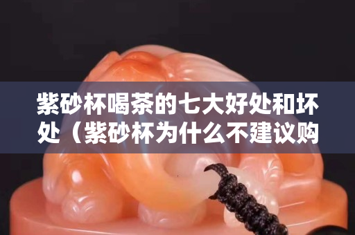 紫砂杯喝茶的七大好处和坏处（紫砂杯为什么不建议购买）