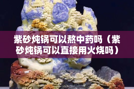 紫砂炖锅可以熬中药吗（紫砂炖锅可以直接用火烧吗）