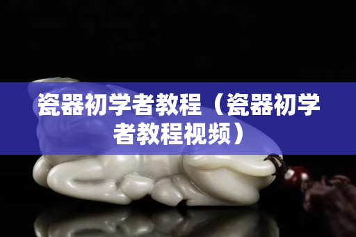 瓷器初学者教程（瓷器初学者教程视频）