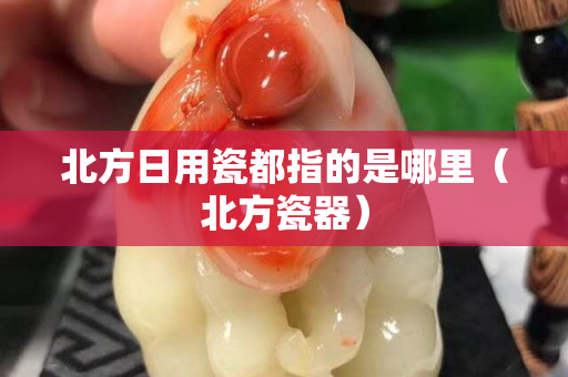 北方日用瓷都指的是哪里（北方瓷器）