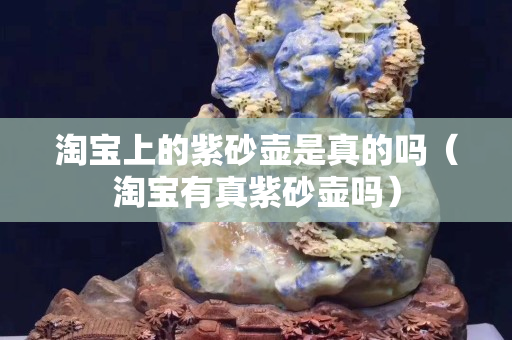 淘宝上的紫砂壶是真的吗（淘宝有真紫砂壶吗）