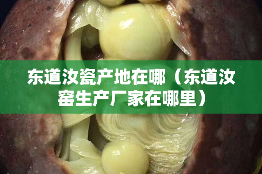 东道汝瓷产地在哪（东道汝窑生产厂家在哪里）