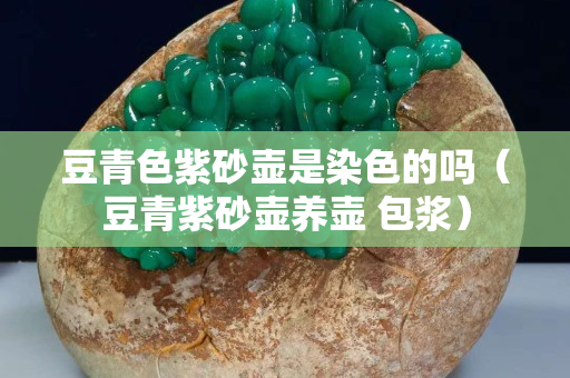 豆青色紫砂壶是染色的吗（豆青紫砂壶养壶 包浆）