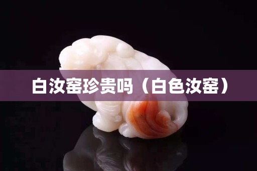 白汝窑珍贵吗（白色汝窑）