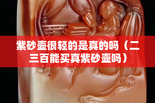 紫砂壶很轻的是真的吗（二三百能买真紫砂壶吗）