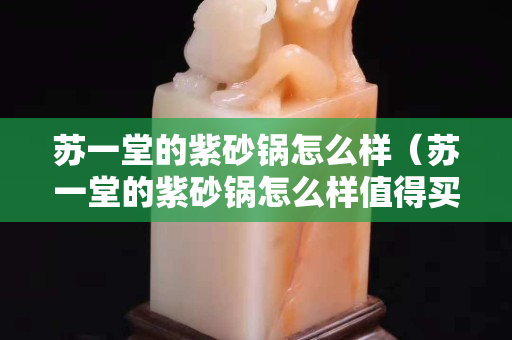 苏一堂的紫砂锅怎么样（苏一堂的紫砂锅怎么样值得买吗）