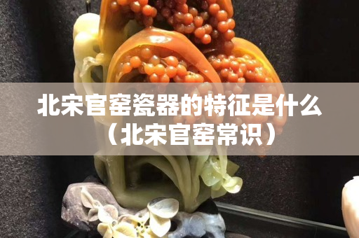 北宋官窑瓷器的特征是什么（北宋官窑常识）