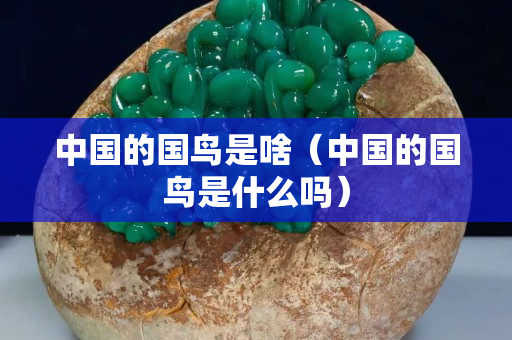 中国的国鸟是啥（中国的国鸟是什么吗）