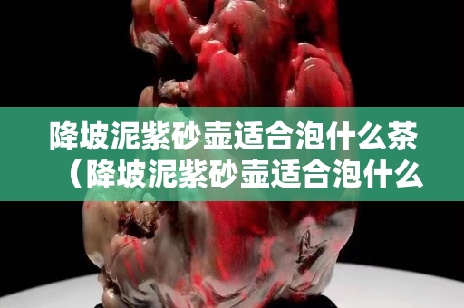 降坡泥紫砂壶适合泡什么茶（降坡泥紫砂壶适合泡什么茶贴吧）