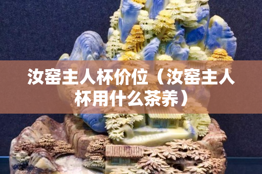 汝窑主人杯价位（汝窑主人杯用什么茶养）