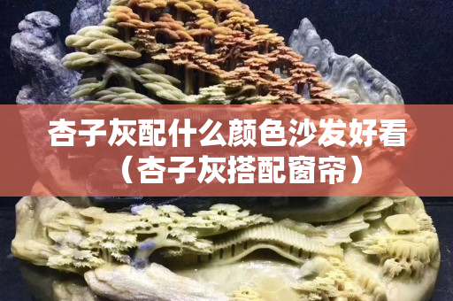 杏子灰配什么颜色沙发好看（杏子灰搭配窗帘）