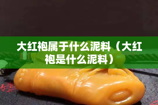 大红袍属于什么泥料（大红袍是什么泥料）