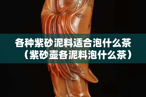 各种紫砂泥料适合泡什么茶（紫砂壶各泥料泡什么茶）