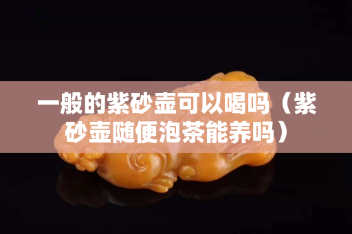一般的紫砂壶可以喝吗（紫砂壶随便泡茶能养吗）