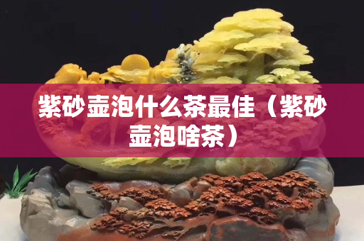 紫砂壶泡什么茶最佳（紫砂壶泡啥茶）