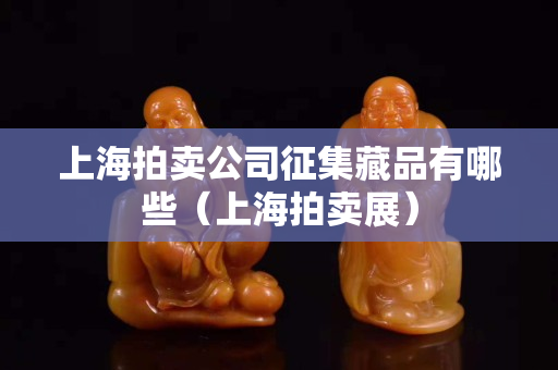 上海拍卖公司征集藏品有哪些（上海拍卖展）