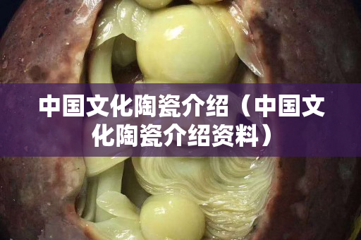 中国文化陶瓷介绍（中国文化陶瓷介绍资料）