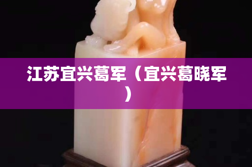 江苏宜兴葛军（宜兴葛晓军）