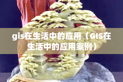 gis在生活中的应用（GIS在生活中的应用案例）
