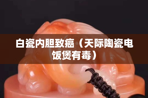 白瓷内胆致癌（天际陶瓷电饭煲有毒）
