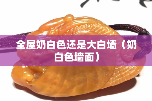 全屋奶白色还是大白墙（奶白色墙面）