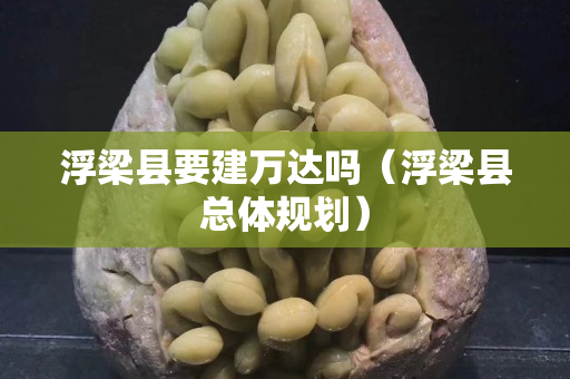 浮梁县要建万达吗（浮梁县总体规划）