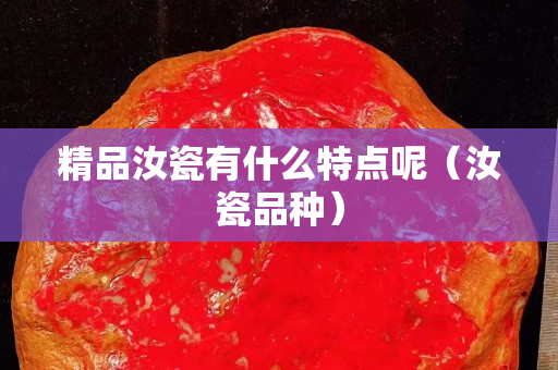 精品汝瓷有什么特点呢（汝瓷品种）