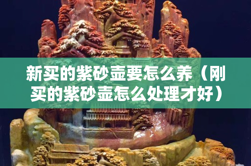 新买的紫砂壶要怎么养（刚买的紫砂壶怎么处理才好）