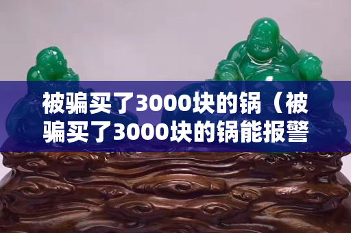 被骗买了3000块的锅（被骗买了3000块的锅能报警吗）