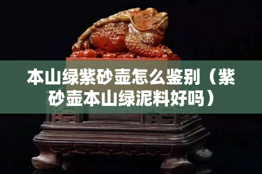 本山绿紫砂壶怎么鉴别（紫砂壶本山绿泥料好吗）