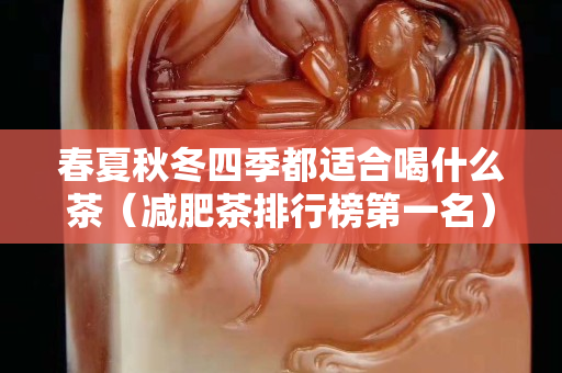 春夏秋冬四季都适合喝什么茶（减肥茶排行榜第一名）