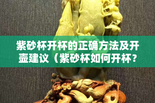 紫砂杯开杯的正确方法及开壶建议（紫砂杯如何开杯？紫砂杯第一次使用要这样做）