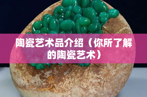 陶瓷艺术品介绍（你所了解的陶瓷艺术）