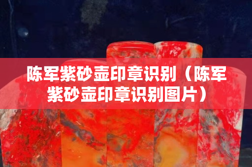 陈军紫砂壶印章识别（陈军紫砂壶印章识别图片）