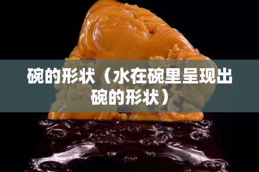碗的形状（水在碗里呈现出碗的形状）