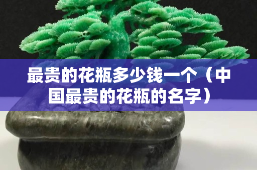 最贵的花瓶多少钱一个（中国最贵的花瓶的名字）