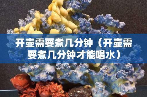 开壶需要煮几分钟（开壶需要煮几分钟才能喝水）
