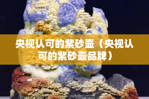 央视认可的紫砂壶（央视认可的紫砂壶品牌）