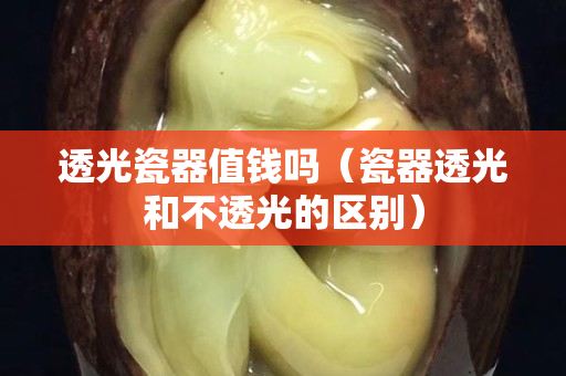 透光瓷器值钱吗（瓷器透光和不透光的区别）
