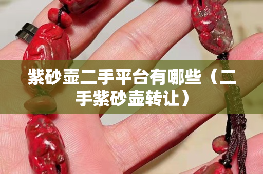 紫砂壶二手平台有哪些（二手紫砂壶转让）