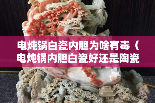 电炖锅白瓷内胆为啥有毒（电炖锅内胆白瓷好还是陶瓷好呢）